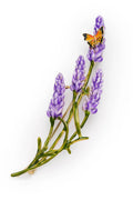 1 84562